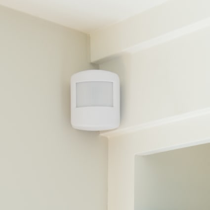 Tallahassee motion sensor