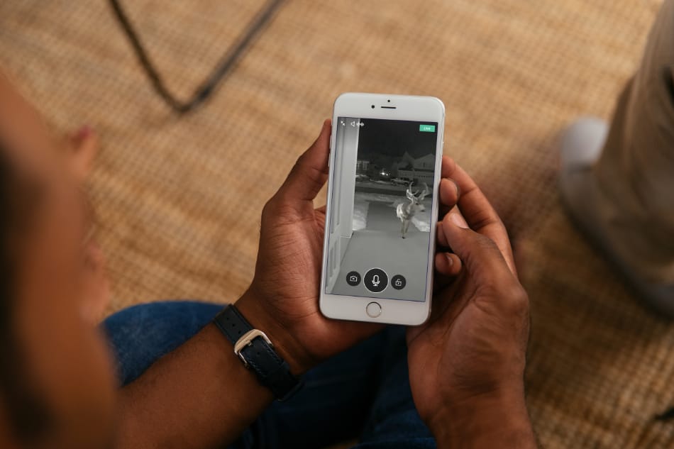 Cairo GA security system